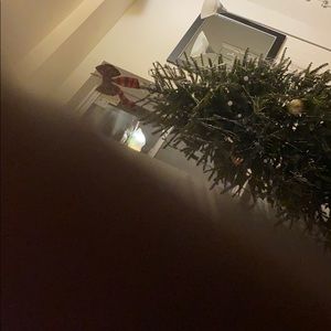 Meet your Posher, Albert